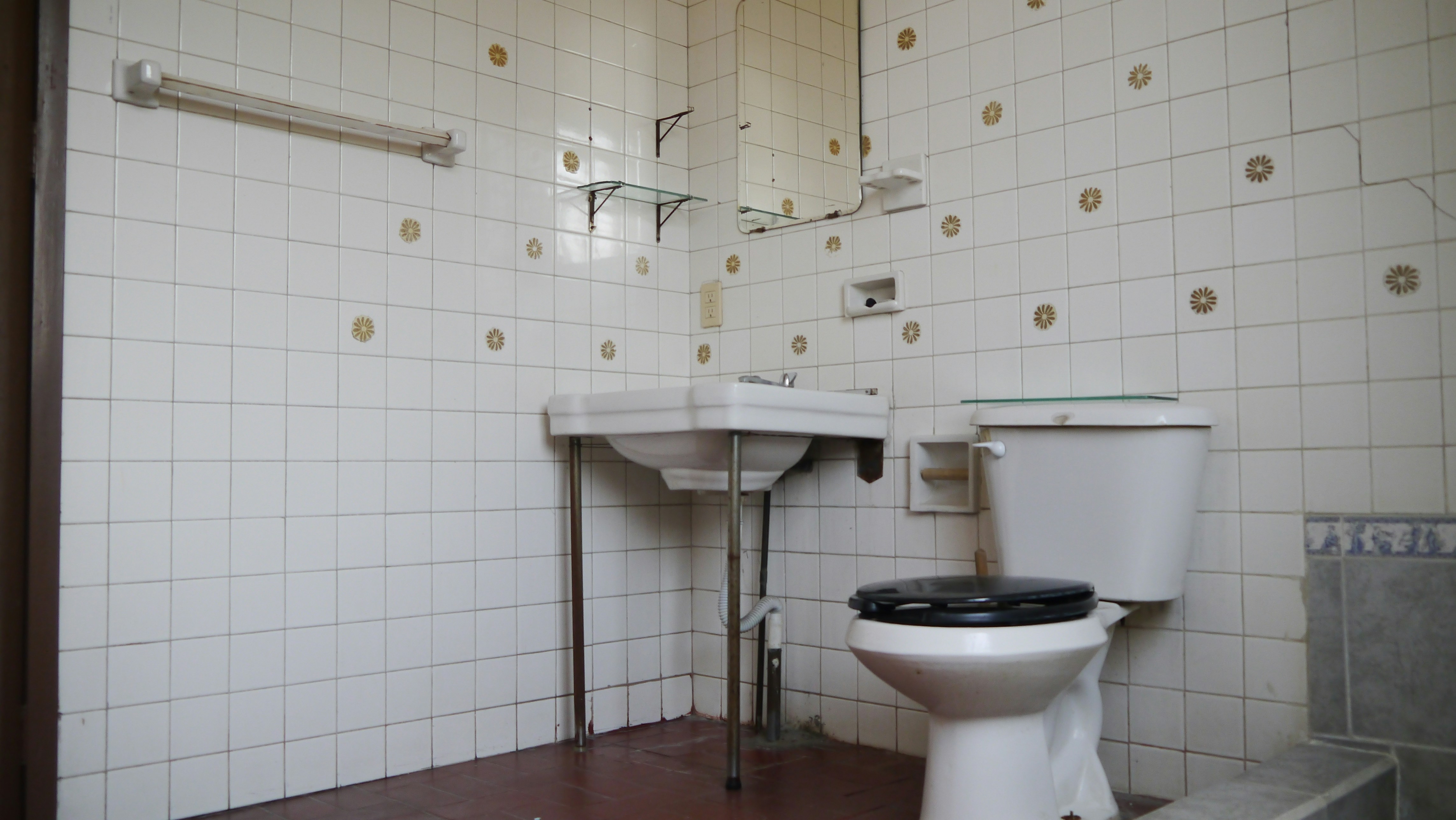 Professional bathroom plumbing